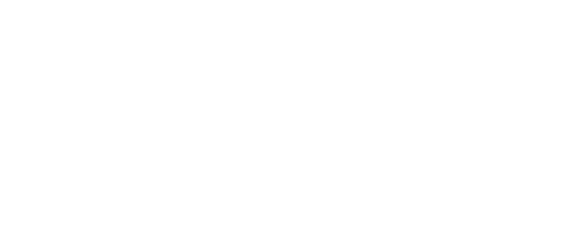 Brick Library